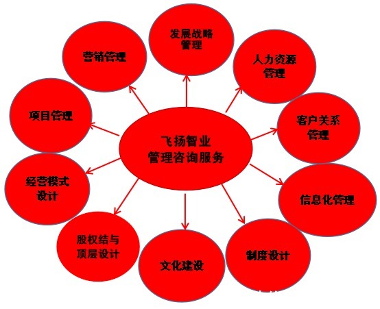 管理咨詢服務哪家強？深度解析信息咨詢領域的選擇策略